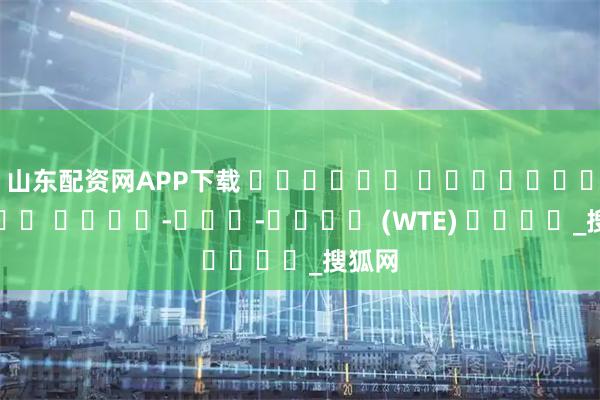 山东配资网APP下载 كلبيهن اينسينراتور سيسا-كڤد-تناڬ (WTE) چينا_搜狐网