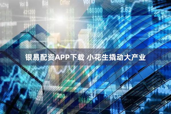银易配资APP下载 小花生撬动大产业