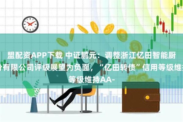 盟配资APP下载 中证鹏元：调整浙江亿田智能厨电股份有限公司评级展望为负面，“亿田转债”信用等级维持AA-