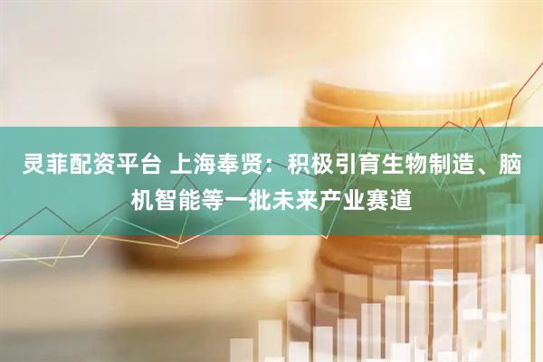 灵菲配资平台 上海奉贤：积极引育生物制造、脑机智能等一批未来产业赛道
