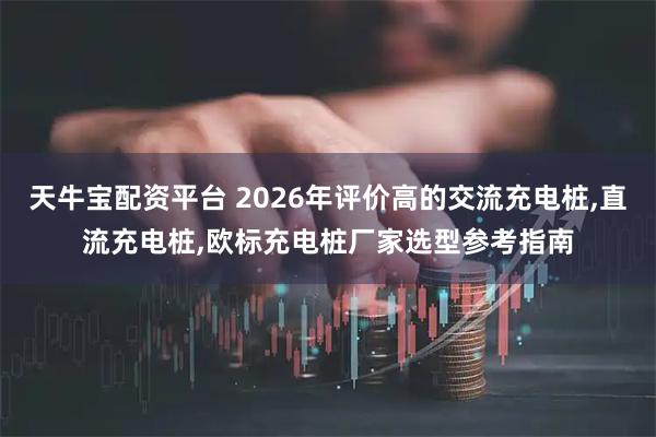 天牛宝配资平台 2026年评价高的交流充电桩,直流充电桩,欧标充电桩厂家选型参考指南