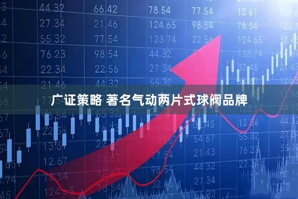 广证策略 著名气动两片式球阀品牌