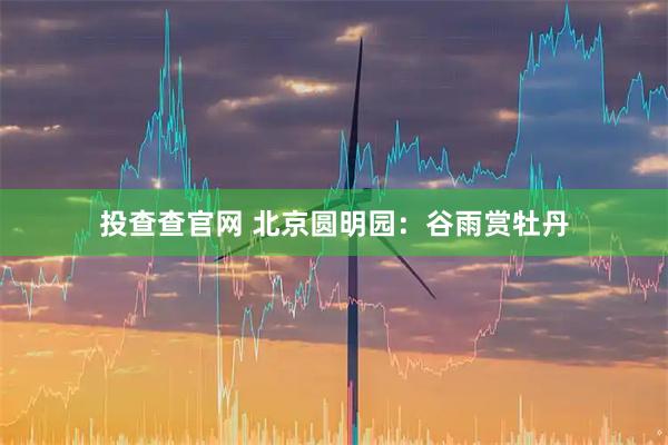 投查查官网 北京圆明园：谷雨赏牡丹
